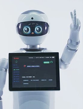 10 自由度
