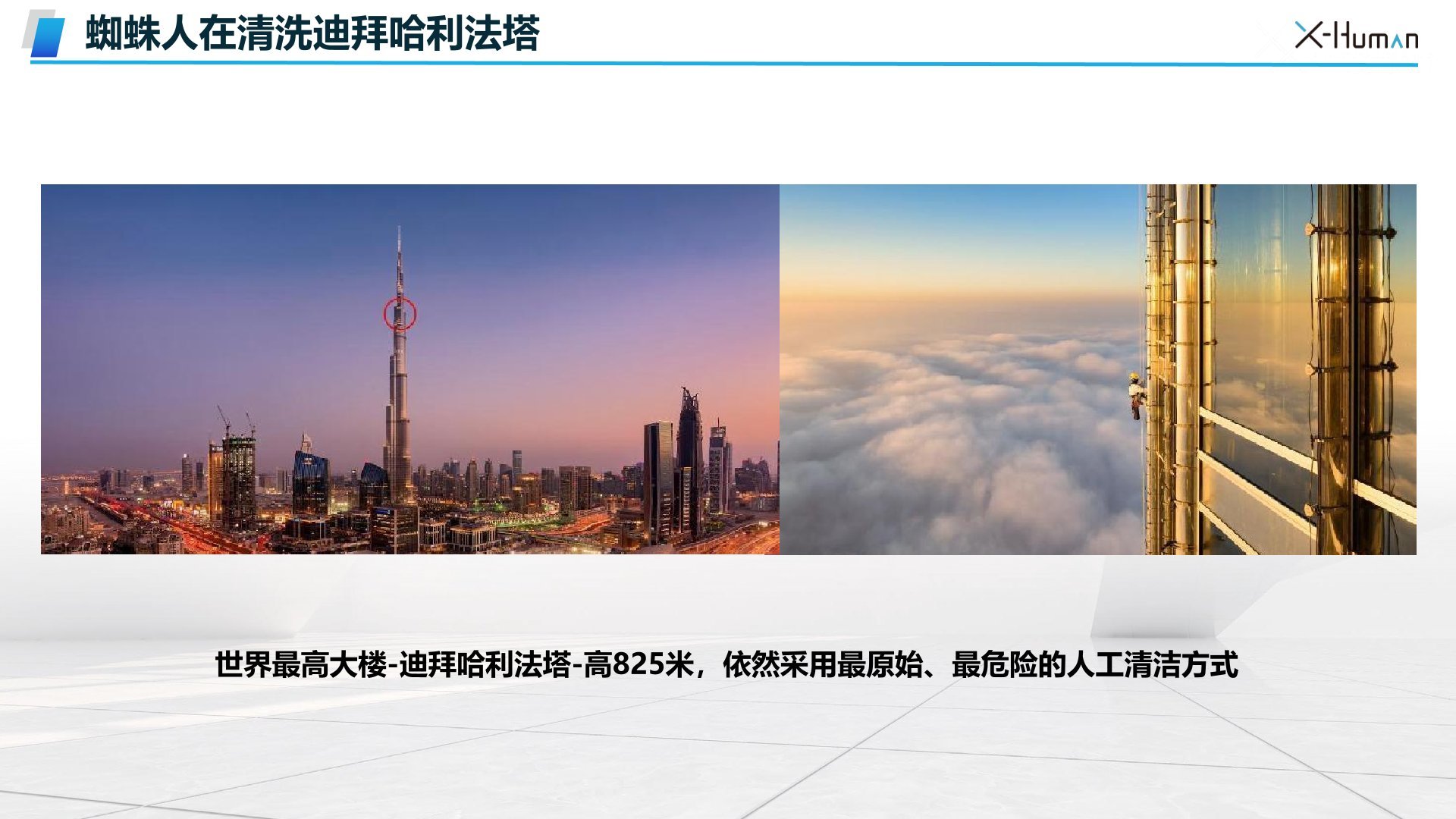 荣誉与资格